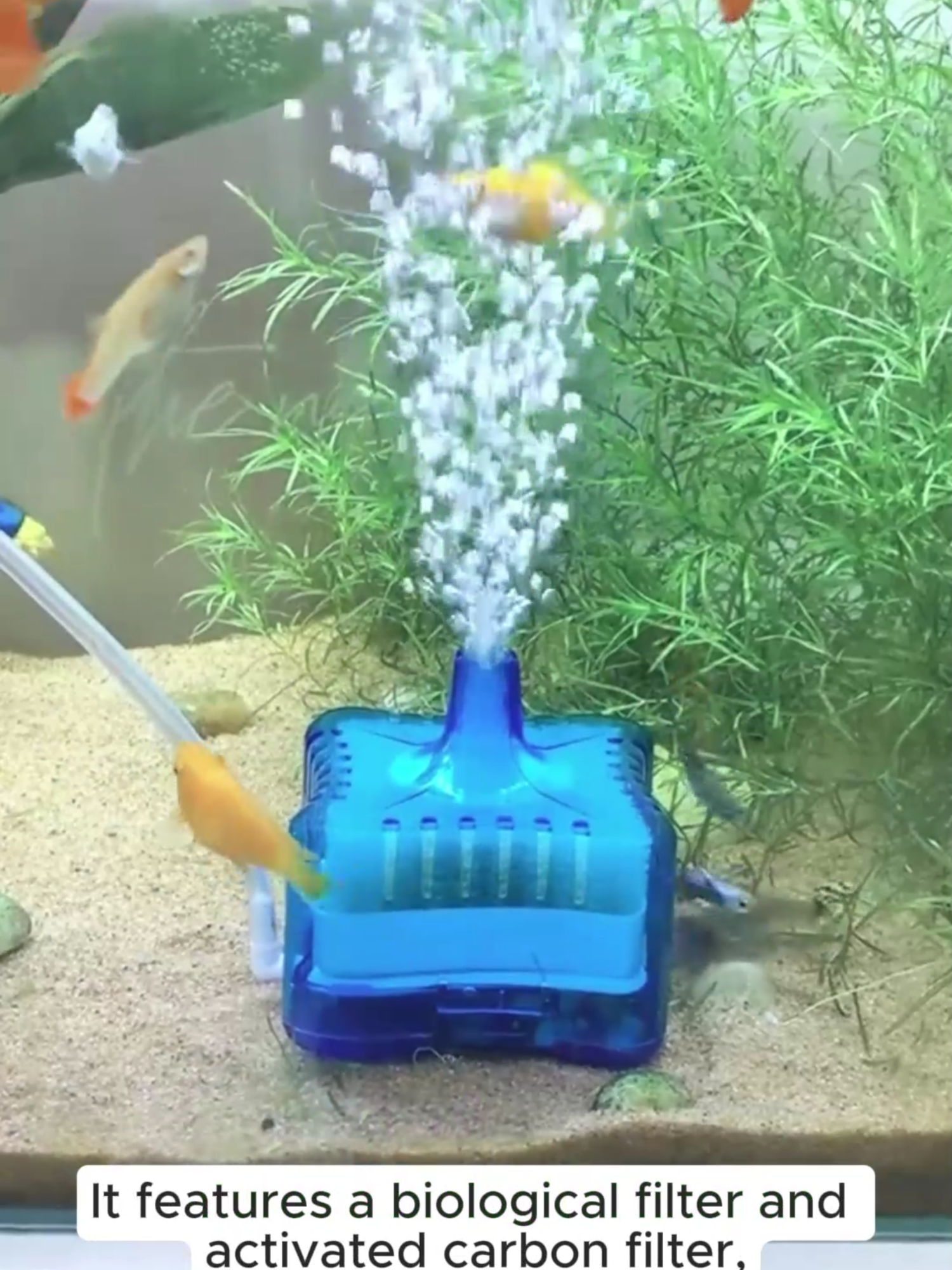 Aquarium Fish Tank Filter Aquarium Water Biological Filter Fish Tank Activated Carbon Filter b&w b&w b&w portable swimming pool mini bowl #tiktokvideo #aquariumcleaning #aquariumtank #aquariumfish #aquariumplants #tiktokshop #aquariumhobby #miniaquarium #aquariumdesign #aquarium #cleaning #glowingstone #fishtok