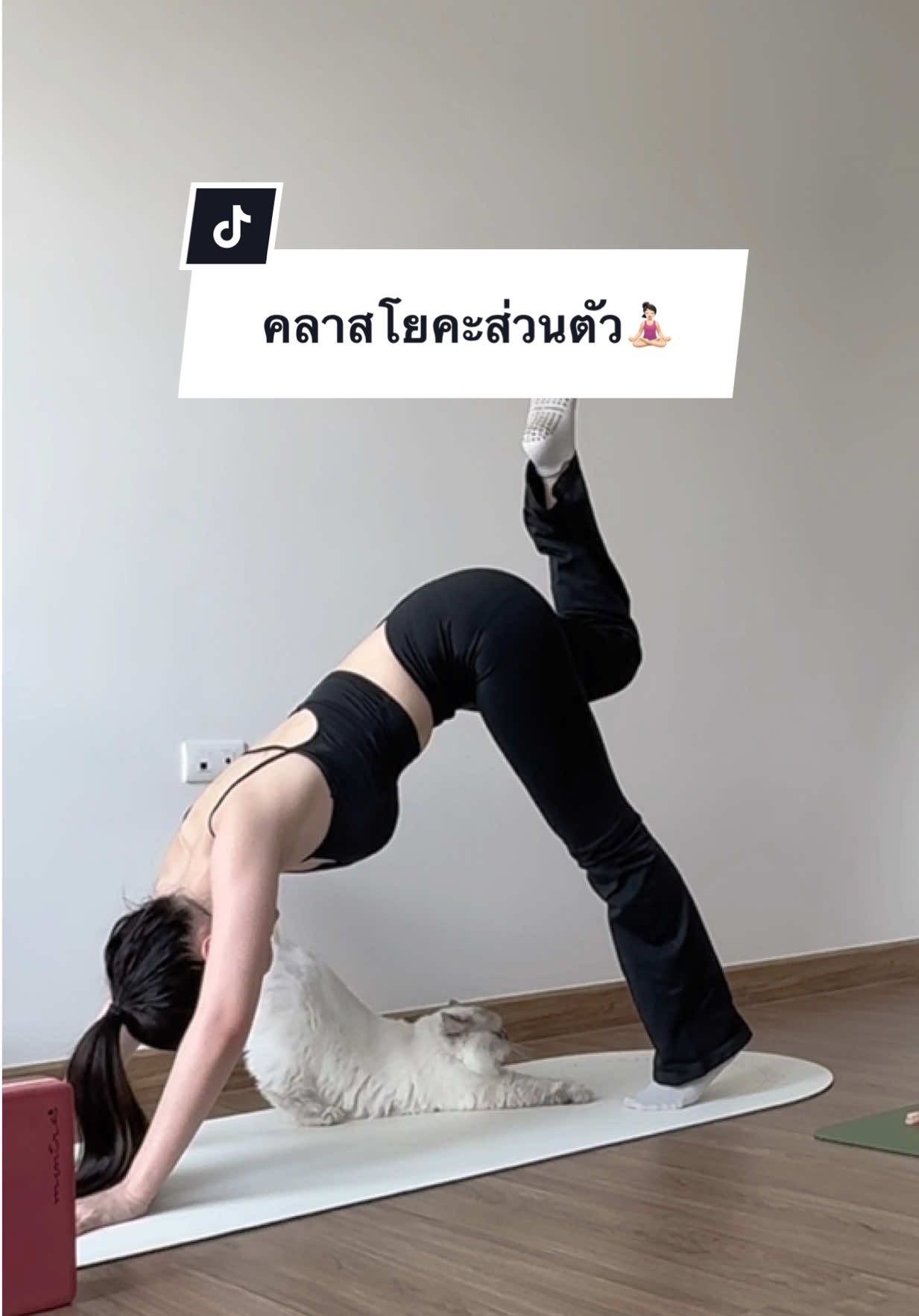 มือใหม่หัดโย มาอีกแล้ว ซัพพอร์ตโดย  @🐈Cat&Cow🐮 #selflove #โยคะ #Yoga #yogagirl 