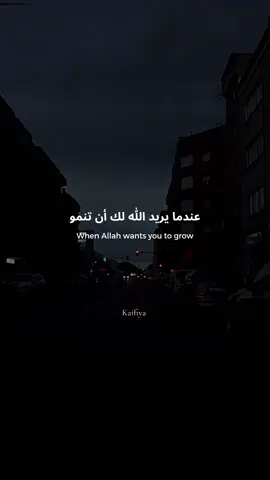 Trust 🫶🏻🤗 #CapCut #foru #qoutes #islamic_video #islamicvideo #foruyou #selfrespect 