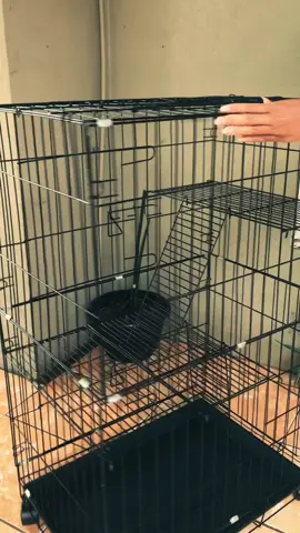 Kandang kucing tingkat#kandangkucing #fyppppppppppppppppppppppp 