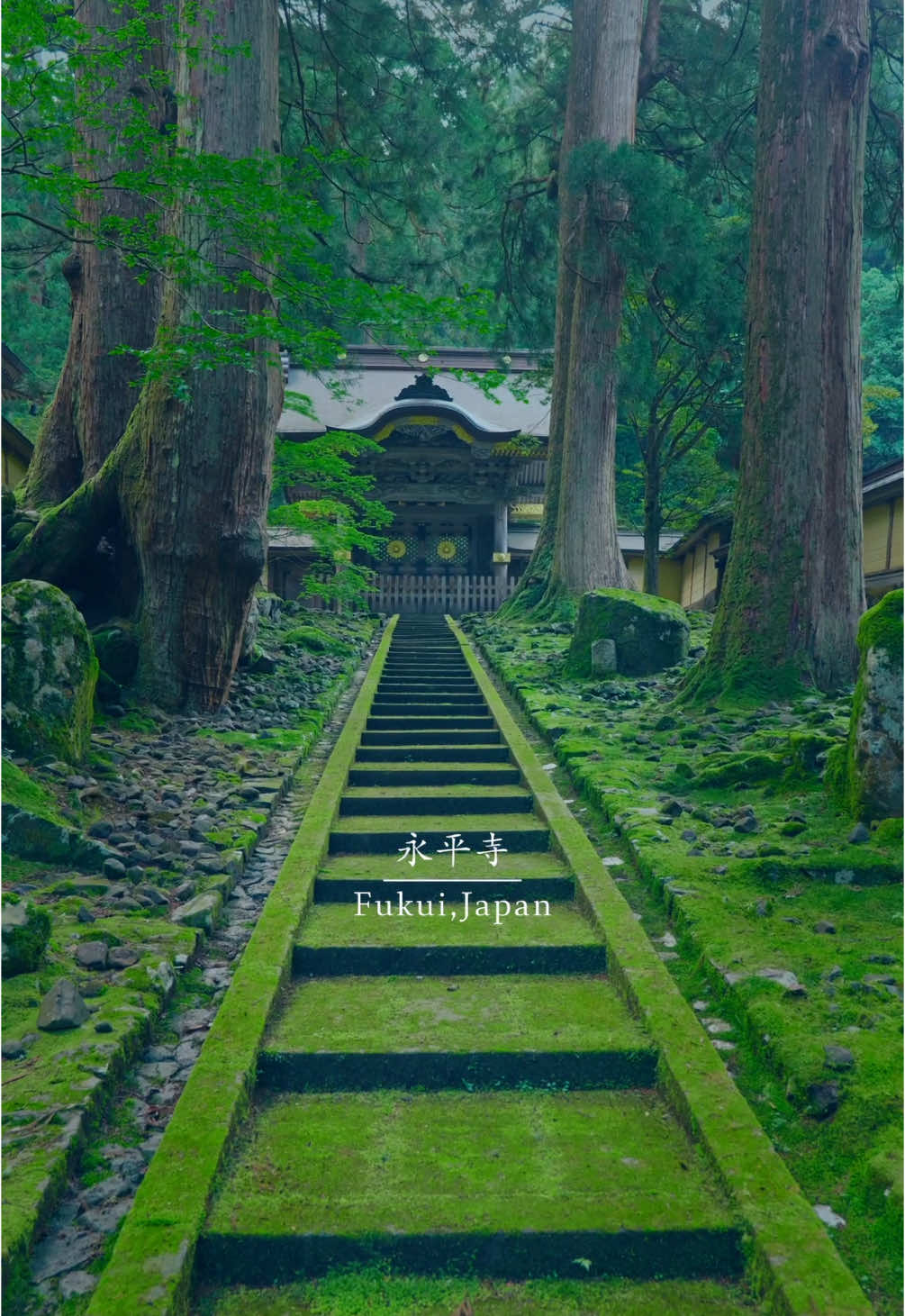 異世界へと続く道…                             　　　📍福井県【永平寺】/ 🇯🇵Fukui Prefecture【Eiheiji Temple】 一歩足を踏み入れた瞬間、心がそっと澄みわたる場所。 道元禅師が開いた、禅の心を今に伝える修行の道場。 苔むした石畳、凛とした空気、静けさに包まれる回廊。 A Zen temple where silence speaks louder than words. Feel the passage of time in the moss, the wood, and the stillness. Reel🎥→ @reo___film 📸LUMIX S5Ⅱ LUMIX S1RⅡ #永平寺 #日本の風景 #福井 #eiheiji