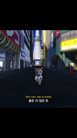DPR LIVE - Jasmine #dprlive #jasmine #song #mood #music #playlist #cat #animal #노래 #노래추천 #고양이 