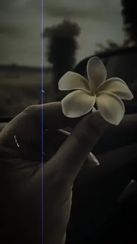#______💫🌺____ #pashtosong🎧🕊️  #kamalkhan🌻پاس په قمر قمر ولاړه ګُلـــــه