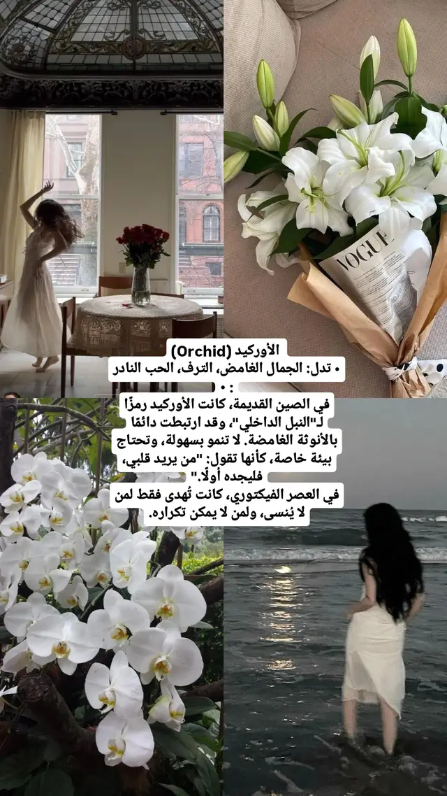 part one ♥️شو نوعكم المفضل  #for #foryoupage #foru #yo #yourpage #pageforyou #vip #fyp #flowers #flower #rose #photo 