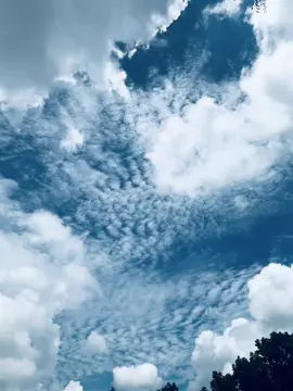 weather...😩💖                                                        .......                                                                                                                         #viral #viralvideo #foryou #weather #view #foryou #foryoupage #tamim_20_j 