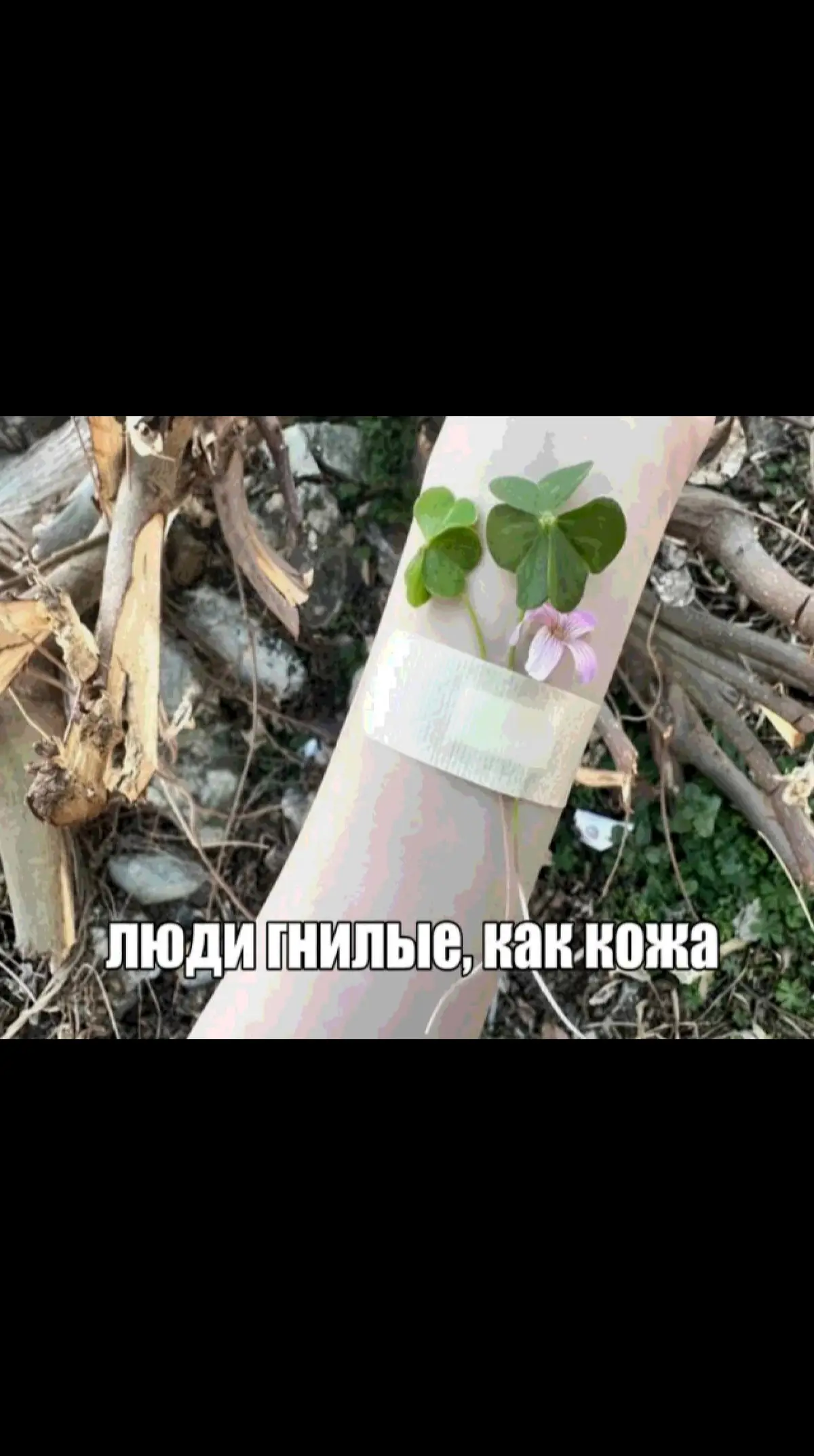 язам енил кости на металл