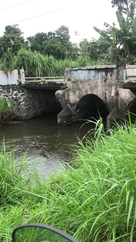 Enek seng ruh dalan iki gak??