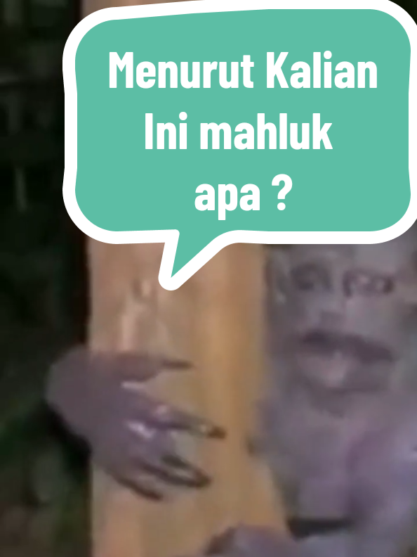Menurut Kalian Ini Mahluk apa ? 😱😱😱 #penampakan #tuyul #fy #fyppppppppppppppppppppppp 