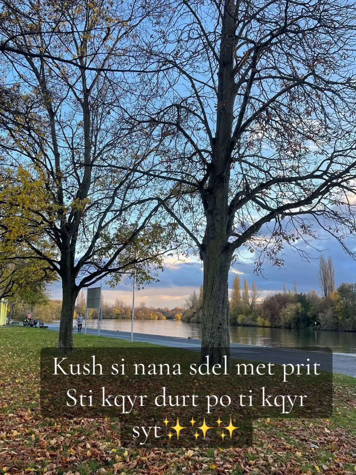#nana #nostalgia #fyp #fürdich #viralvideos #fürdichpage #fouryou #kosova 