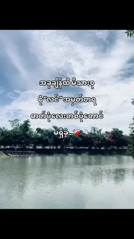 ကြားဝင်တဲ့သူတွေမရှိခဲ့ရင် ငါလဲ အခုထိ မိသားစုစုံ”လင်”နေရမှာ…❤️‍🩹#foryou #flypシ #foryoupage #2025 #think4youdo #foryou #flypシ #foryoupage 