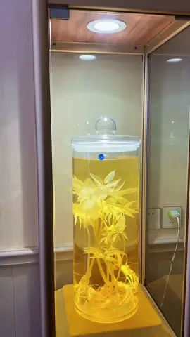 Vì si mê nên anh coi đó là tự nhiên 😩