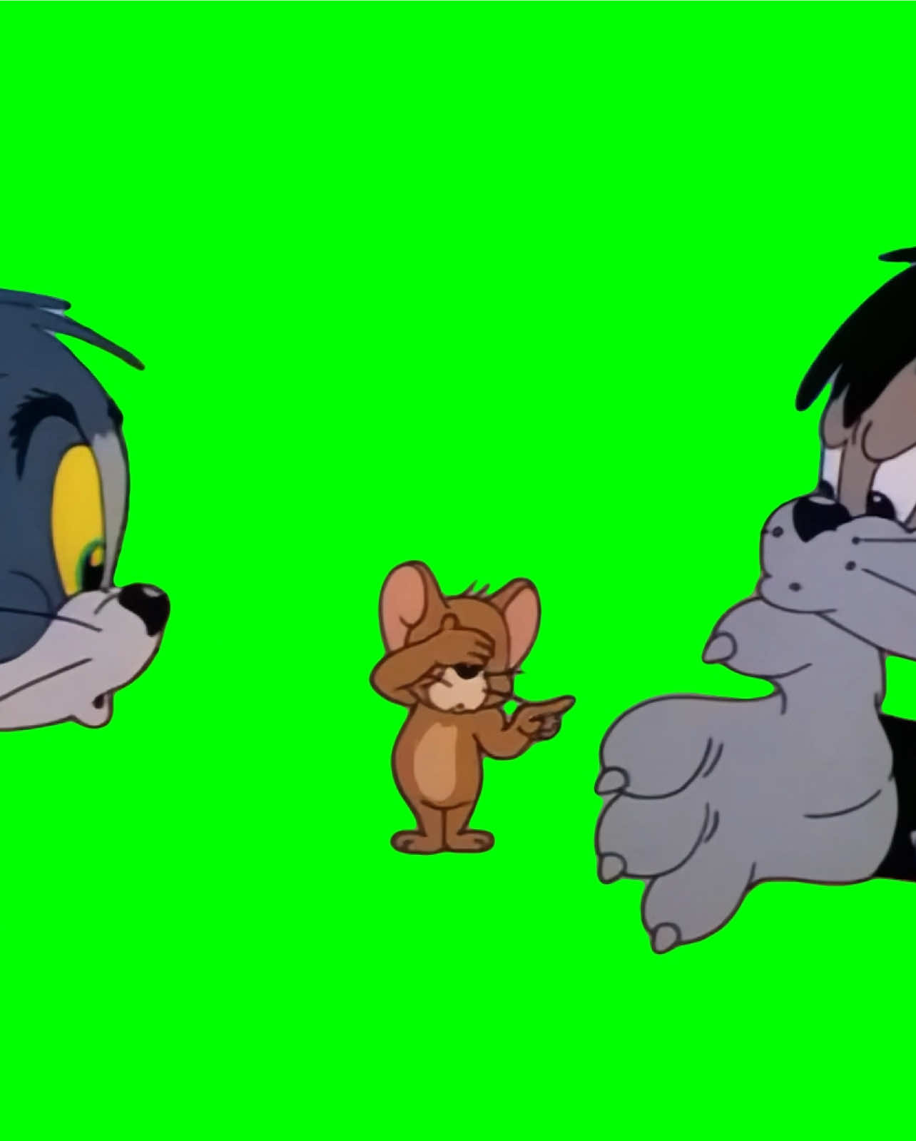 Jerry choosing between Tom and Butch meme - Tom and Jerry