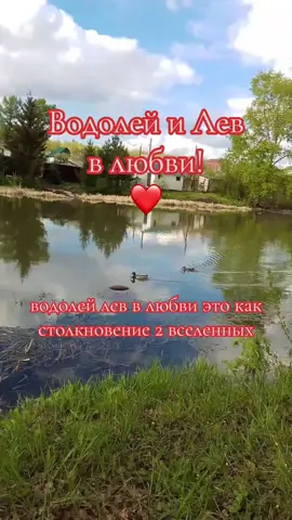 Водолей и Лев в любви! #водолей #лев #знакизодиака #СовместимостьЗнаков #ЛюбовьПоЗвездам #АстрологияTikTok #CapCut 