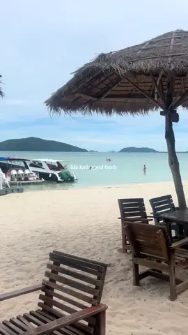 the best day 🌸 #kohsamui #pigisland #travel 