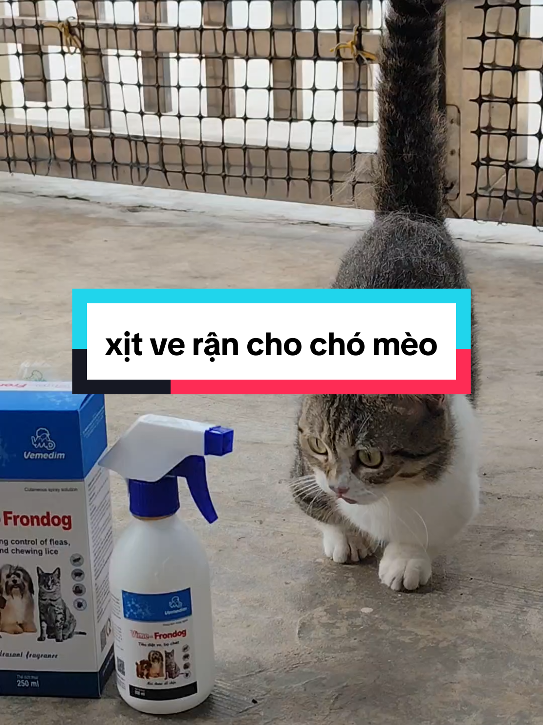 xịt rận vime frondog dành cho chó mèo, an toàn đối với cả thú đang bầu và trong quá trình nuôi con#miu #miuxinh #meo #yeudongvat🇻🇳❤ #chó #mèo #yeuchomeo #xitveranchomeo #xitveranbochet #vimefrondog 