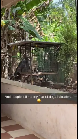 my fear of dogs originated from street dogs India ibr 😭 #mallu #fyp #indian #kerala #malayali #streetdogs #fearofdogs #irrational #irrationalfear #dogs #danger #violence #india #browngirl #indiandogs #malayalam #keralite #scared 