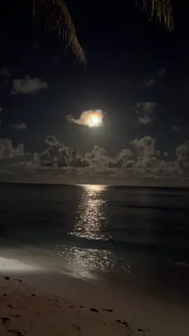 how peaceful is the beach at night 🌊 #foryoupage #beachnight #serenity 