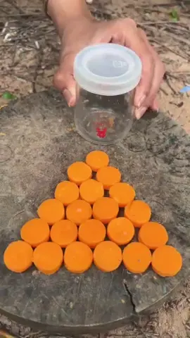 Survival Skills- SMART idea and USEFUL #bushcraft #camping #outdoor #useful
