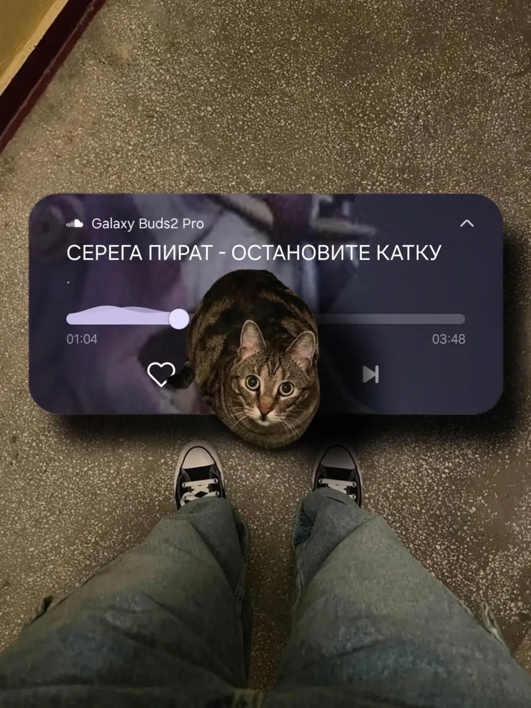 ОСТАНОВИТЕ КАТКУ #song #speedsongs #slowedsongs #серегапират 