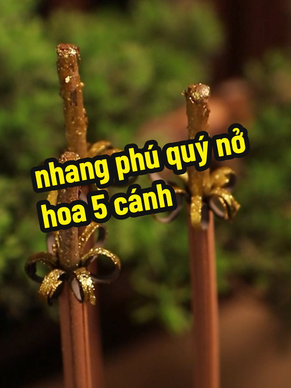 nhang phú quý nở hoa 5 cánh #nhangphuquy #nhangnohoa #nhangthantai #giadungtienich #giadungthongminh #_hangnoidiatrungquoc_ #hangnoidiatrungquoc #hangnoidiatrung #đồnộiđịatrungquốc #donoidiatrungquoc #donoidiatrung #noidiatrung #viral #trending #xuhuong 