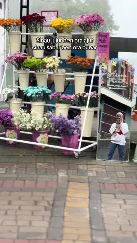Besok banget bestie beli BUNGA dapat EMAS, Hanya di Aruna Fresh Flower❤️ 📍Sarangan depan @Penginapan & Villa Arto Moro 