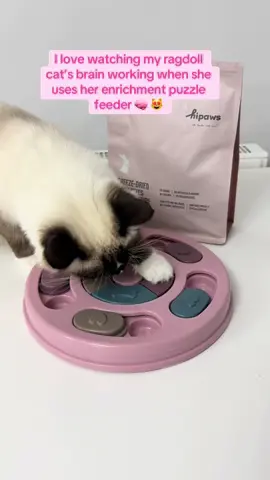 #Enrichmentforcats #Puzzlefeeder #Catenrichment #catnutrition #Catreaction #Catstimulation #Catfood #Cattreats