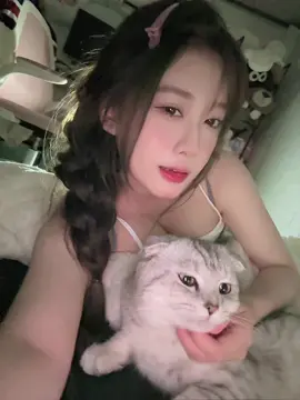 up đại