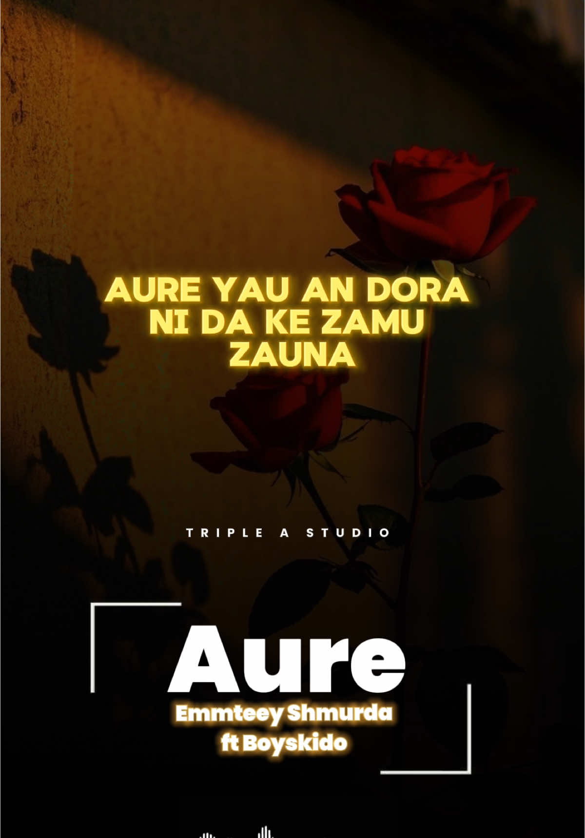 @Emteeyshmurda 🎶🥁AURE Lyrics 💓🤩 #Tripleastudio #arewa_tiktok #rarara #Hausa #Hausasong #hausalyrics #Newsong #hausatiktok #fyp #goviral #viral_video#trending