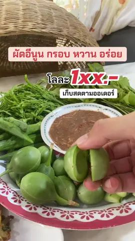 #ผักอีนูน #ผักอีนูนผักสาบ #ผักสาบ #ผักสาปเมืองสุรินทร์ 