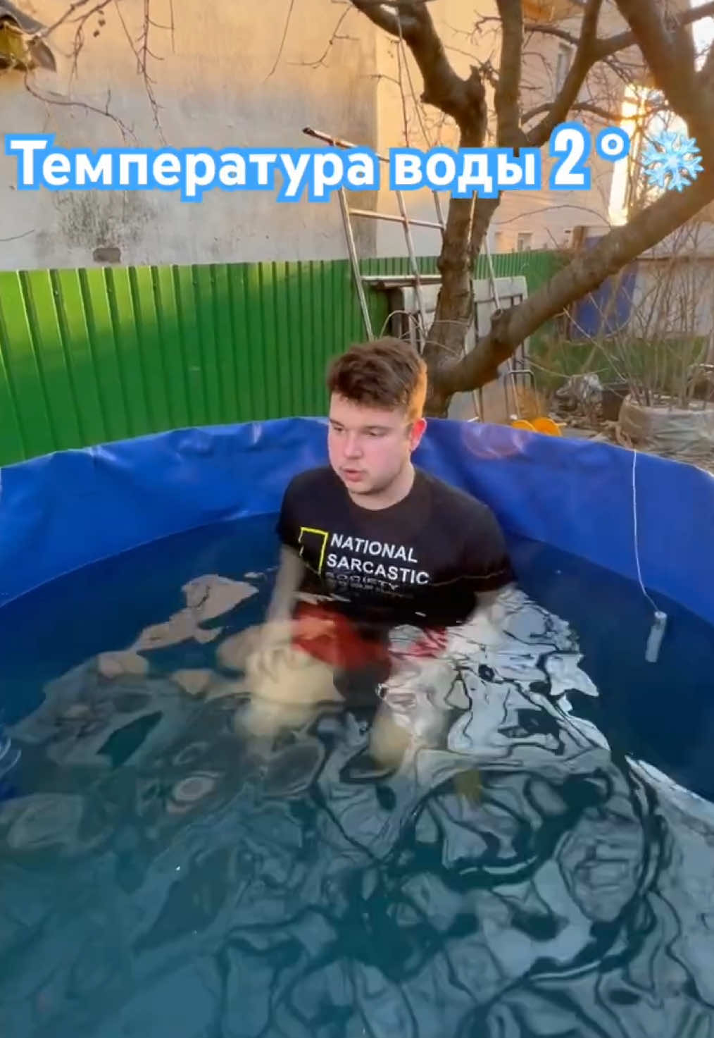 Погружение в ледяной бассейн при температуре 1°C — холодовая терапия и экстремальное плавание ❄️🧊  #tiktok #iceman #coldwaterswimming #моржевание #здоровье #мотивация #maxprykhodko #максприходько