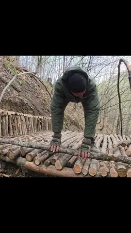 Days of building a wonderful warm shelter with the dog #shelter #bushcraft #satisfying #Outdoors #survival #campinglife #camping #fyp #asmr