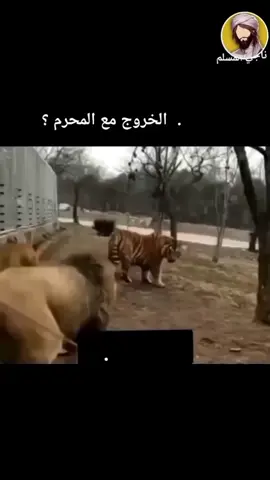 #حفظه_الله #الشيخ #فركوس #الجزائر_تونس_المغرب #الجزائر_تونس_المغرب #الشعب_الصيني_ماله_حل 