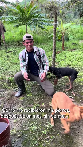 Así me recibió mi perrita, después de un mes sin verme y me encuentro con mucha sorpresa en mi siembra y con mis animales