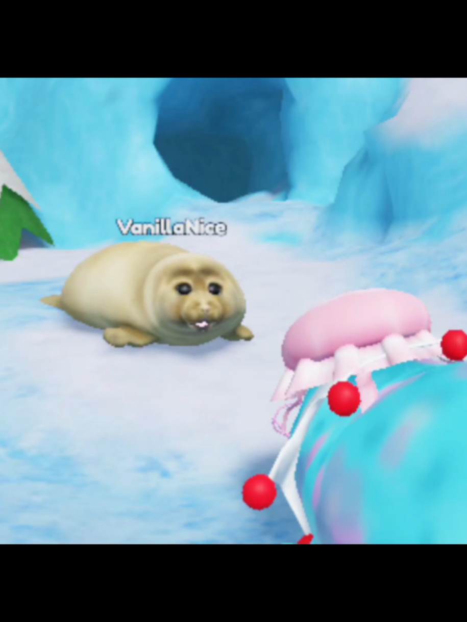 he told me everything 👀 • • • • #seal #beasillysealinroblox #cute #fypシ #viral #fyp #humor 