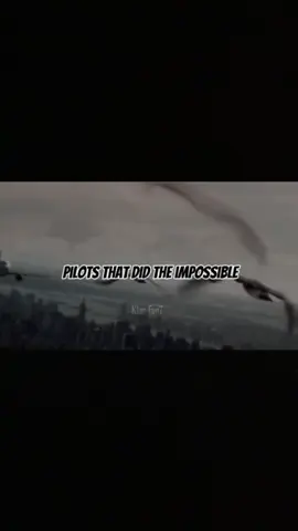 Pilots that did the impossible #fyp #aviation #aviationlovers #edit #planes #plane #emergencylanding #boeing #airbus