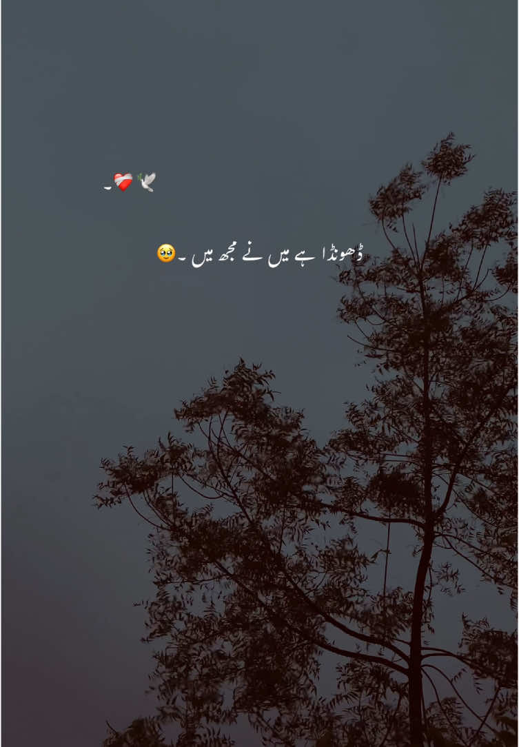Heartbreaking Lines..!💔🦋😔#asthetic #foryou #foryoupage #poetry #poetrystatus #grow #account #yousaf_vibes1 