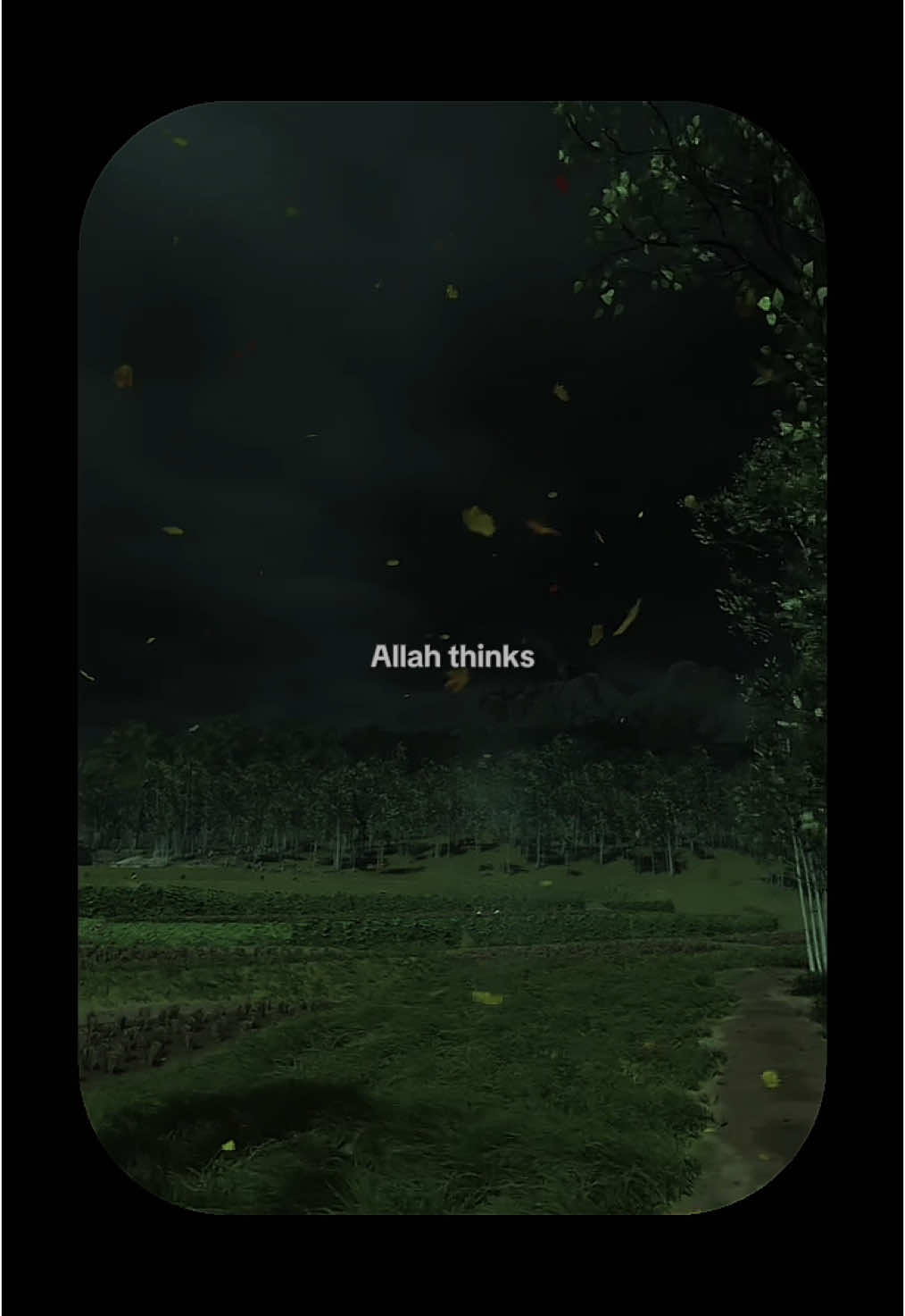 Don't worry what others think of you🤍#islamic_video #islamicreminder #Allah #trustAllah 
