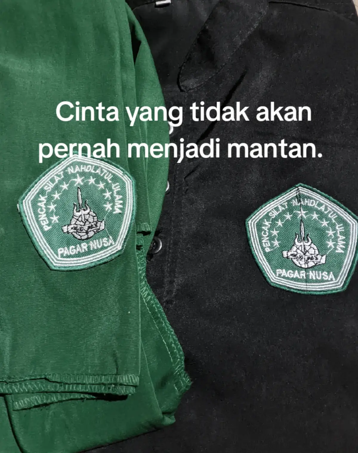 #pagarnusa86 #pagarnusakediri💚🔱  #4you #xzbca #fyp 