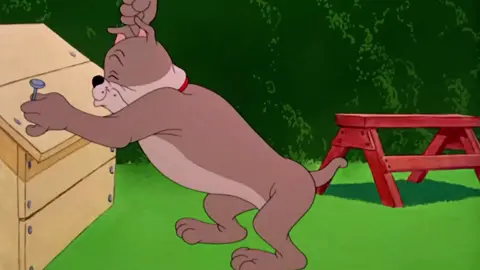 Tom & Jerry | Dogs vs Cats | Classic Cartoon Compilation Part 1 #cartoonnetwork #cartoon #viralvideo🔥 #tomandjerry #fyp