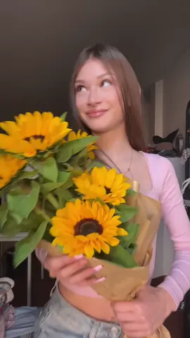🌻🌻🌻🌻🌻