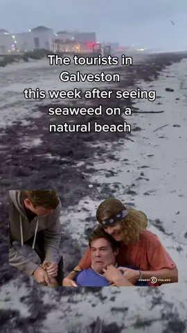 🤣🤣