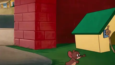 Tom & Jerry | Dogs vs Cats | Classic Cartoon Compilation Part 5 #cartoonnetwork #cartoon #viralvideo🔥 #tomandjerry #fyp