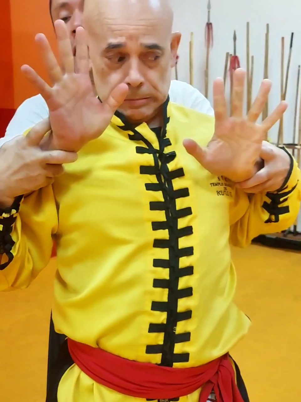 #tskf #kungfu #wushu #artemarcial #artesmarciais #defesapessoal #shaolin #chikung