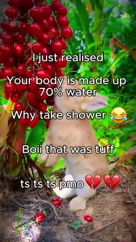 I just realized that ✌️😂 #bunny #rabbitsoftiktok #trending #fyp #fyppppppppppppppppppppppp #undergroundmusic 