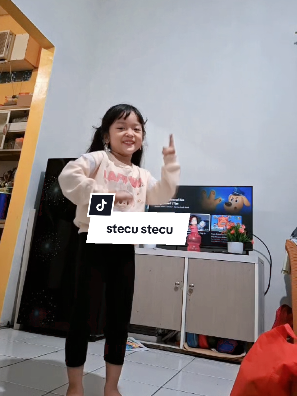 Ada yang sama kaya gini juga gak sih...  #stecu #jogetstecu #newtrend #fypterbaru #viralhariini #musikviral 