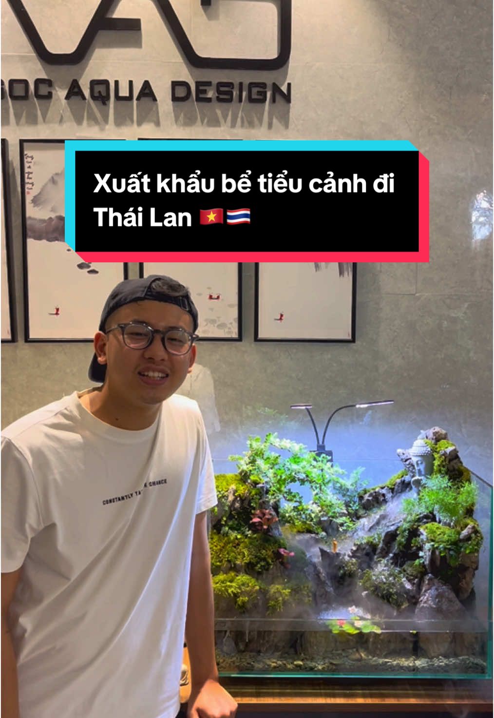 Xuất khẩu bể tiểu cảnh đi Thái Lan 🇻🇳🇹🇭#ngocaquadesign #tieucanh #phatphap #xuatkhau 