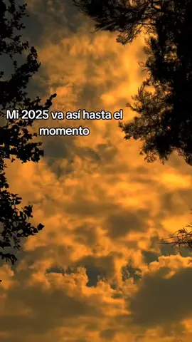 como va mi 2025❤️‍🩹 #creatorsearchinsights  #Love  #tiktok  #contenido 