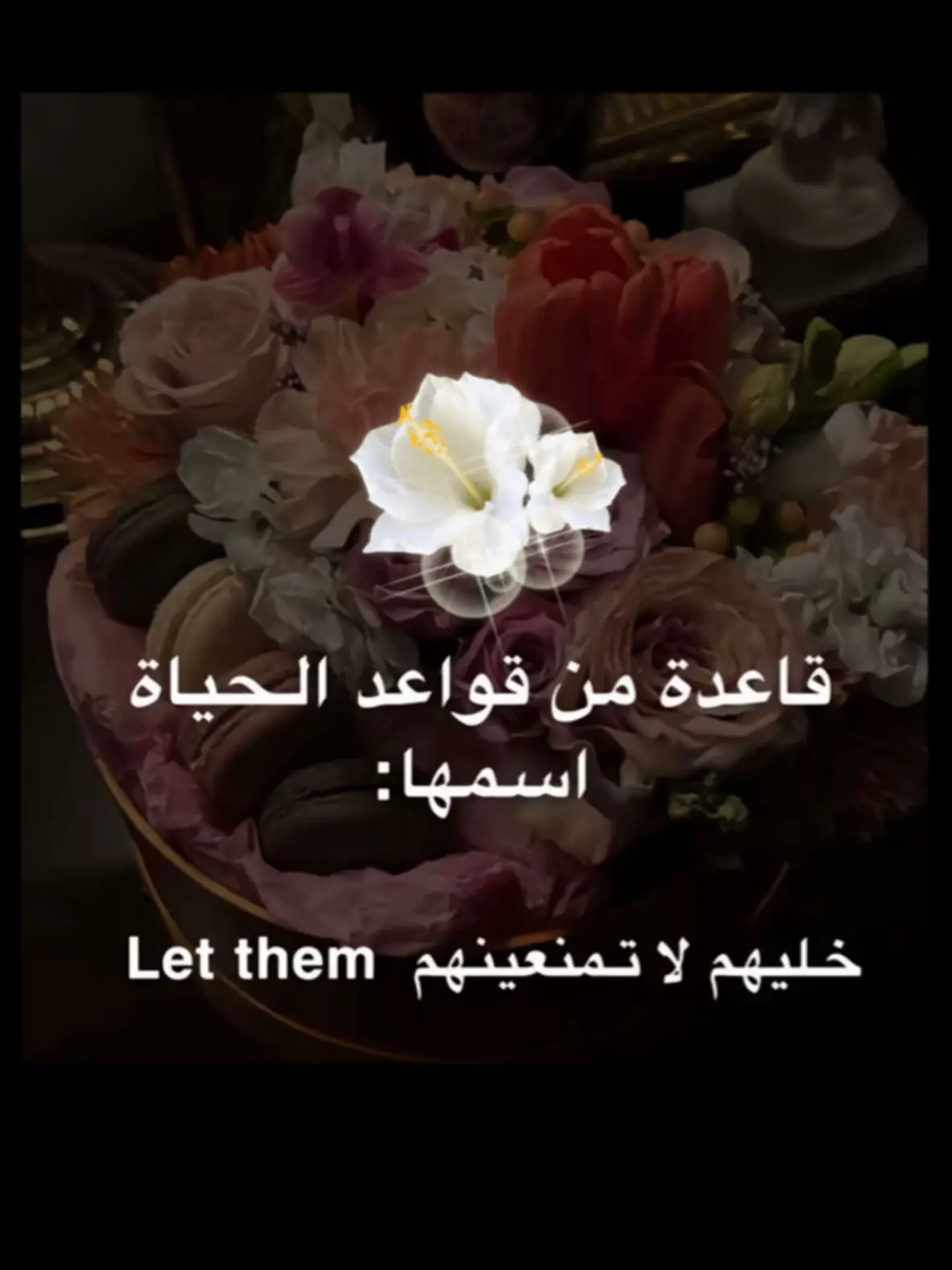 ذا البوست  من  حساب هالجميله   @د. هند عنايه وأفكار🎯 hind_12330 