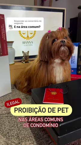 Respondendo a @eaigarota  Você sabia que seu condomínio não pode proibir a circulação de pets nas áreas comuns? O STJ já decidiu que esse tipo de proibição é ilegal! Diversos tribunais também já anularam cláusulas de convenções que tentavam impedir os tutores de transitarem com seus pets por corredores, elevadores e halls. Seu pet pode sim circular, desde que respeitadas regras de convivência, como o uso de coleira e guia. Quanto à focinheira, ela só pode ser exigida em casos específicos, como em cães de grande porte ou com histórico de agressividade. Ou seja, não é regra para todos os animais! O que não pode é o condomínio restringir totalmente esse direito, ferindo a dignidade do tutor e o bem-estar do animal. E no seu condomínio, como funciona? Já tentaram proibir a presença do seu pet nas áreas comuns? Comenta aqui!