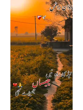 تیڈی راہ تیں چیساں جھیڑے کئی #kurbankulachi #sadstatus #azanmalghani #tahirfarok #poetrygraphy #songgraphy #statusvideo #videography #foryoupage❤️❤️ #sarikipoetry #sarikisaddtatus #basitnaeemi #moizulazan 